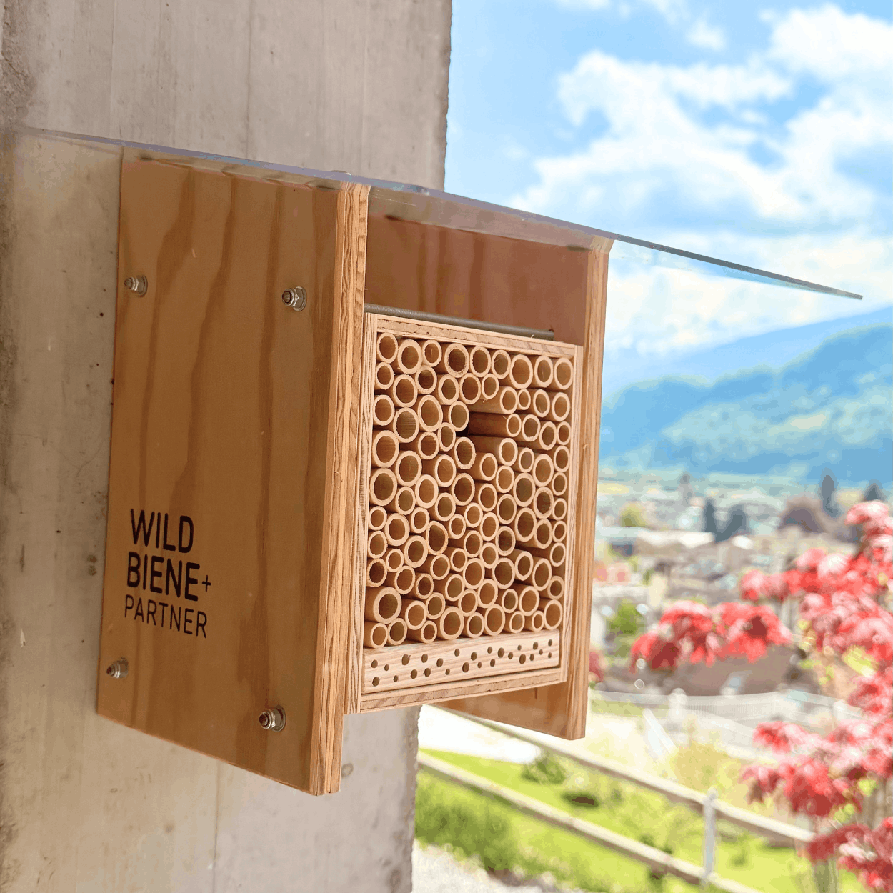 
                  
                    BeeHome Classic Special Edition Diversify
                  
                