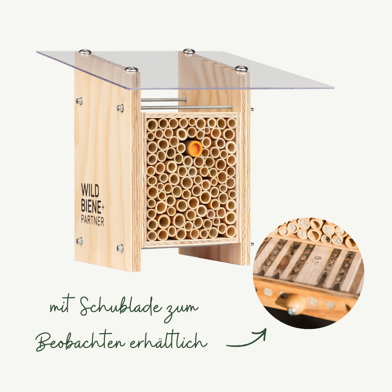 BeeHome Classic