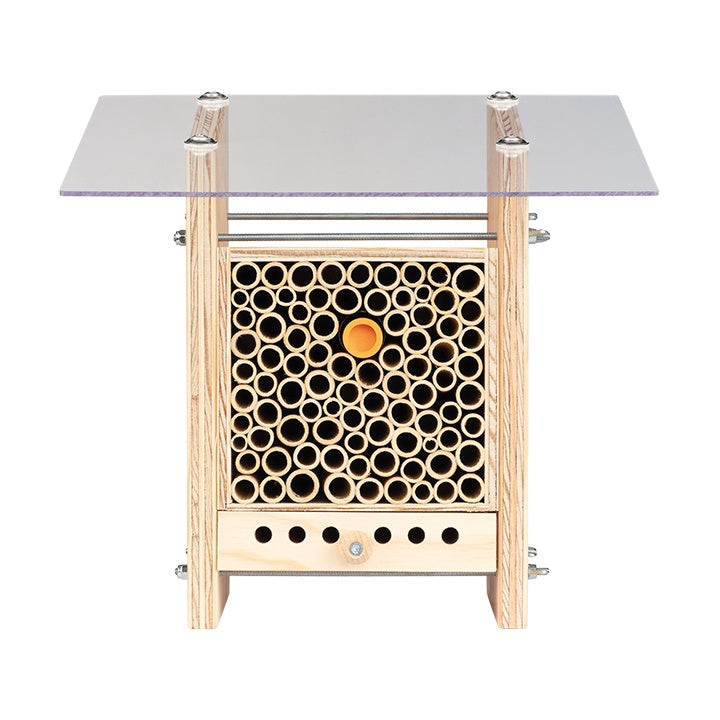 
                  
                    BeeHome Observateur
                  
                