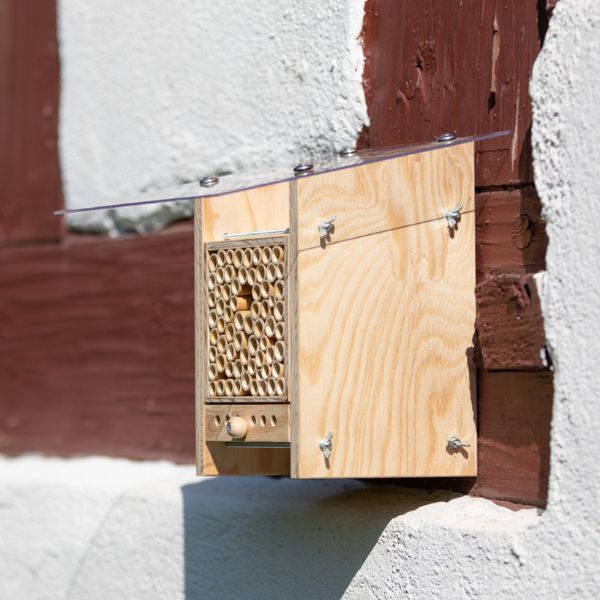 
                  
                    Starter-Set : BeeHome Observer avec un bon pour les soins aux abeilles sauvages
                  
                