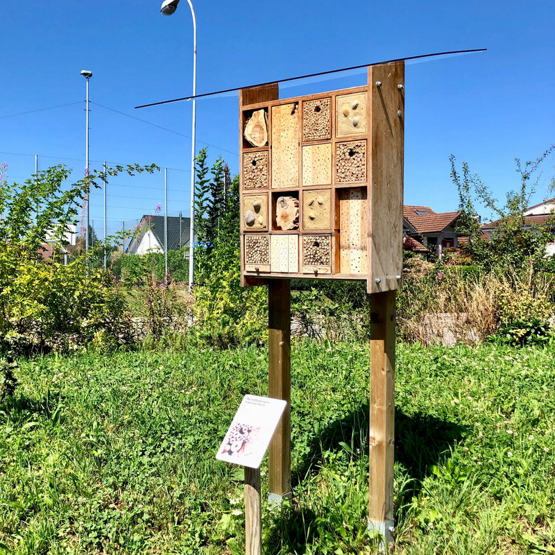 Promouvoir la biodiversité dans l'espace urbain