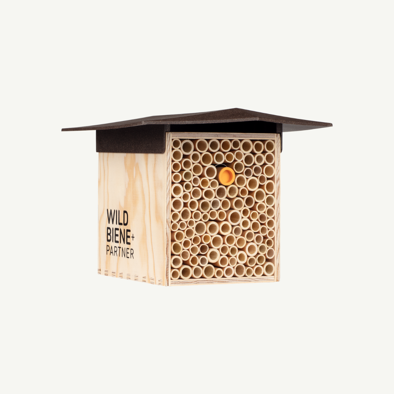 
                  
                    BeeHome Compact
                  
                