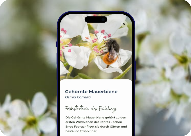 Wildbiene + Partner AG