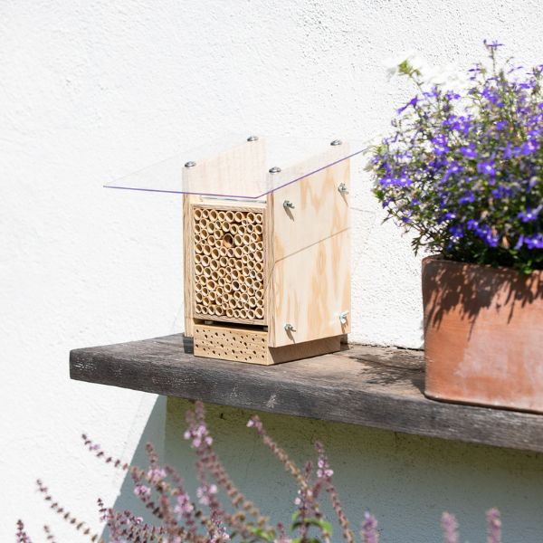 
                  
                    BeeSummer Set Classic
                  
                