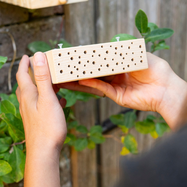 BeeSummer nesting block