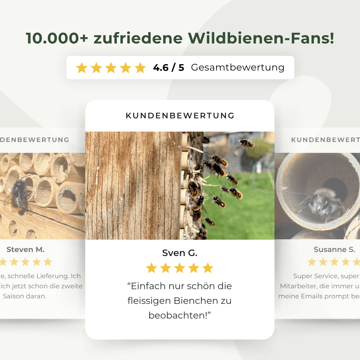 
                  
                    BeeSummer-Set: Bestseller für maximale Artenvielfalt
                  
                