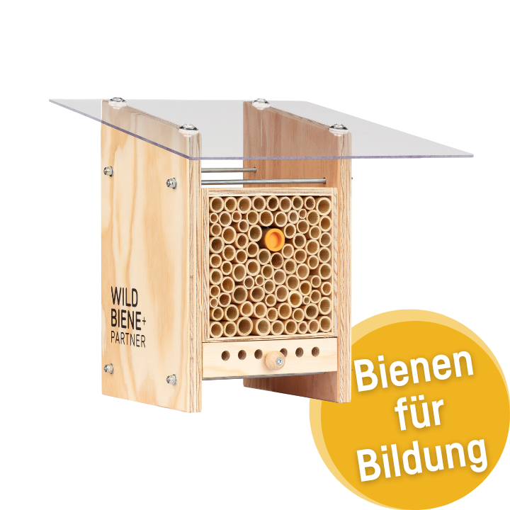 BeeHome Observateur
