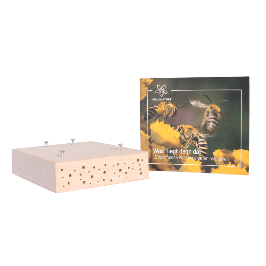 
                  
                    BeeSummer One Bloc de nidification
                  
                