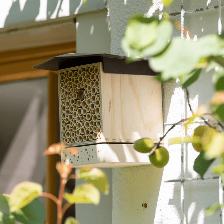 
                  
                    BeeSummer One Bloc de nidification
                  
                