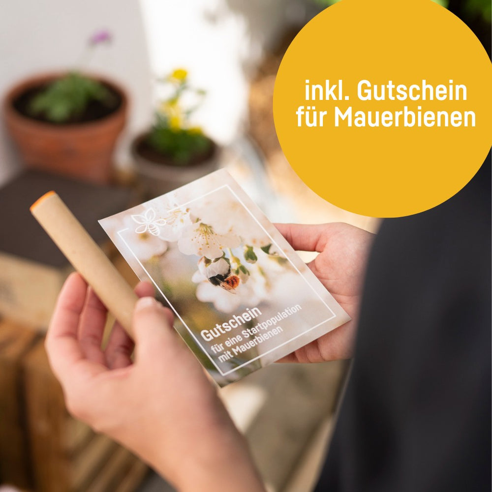 Digitaler Gutschein für ein BeeHome inkl. Mauerbienenkokons