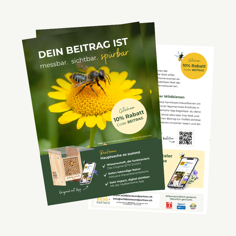 Bienen-Botschafter Flyer