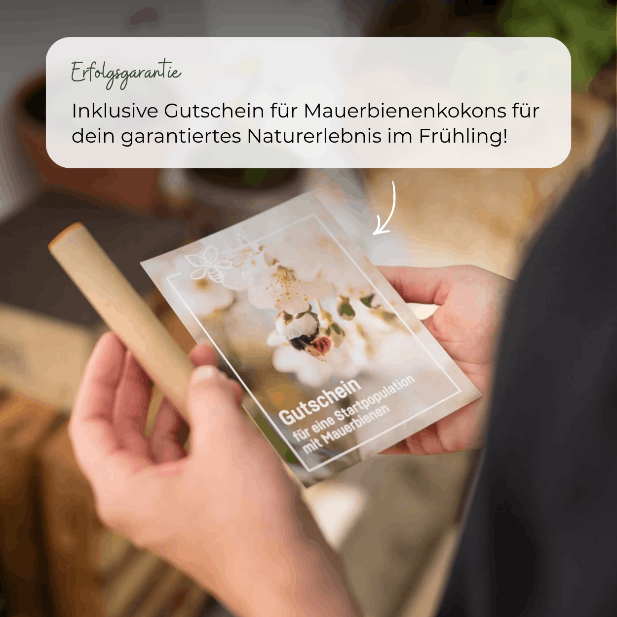 
                  
                    BeeSummer-Set: Bestseller für maximale Artenvielfalt
                  
                