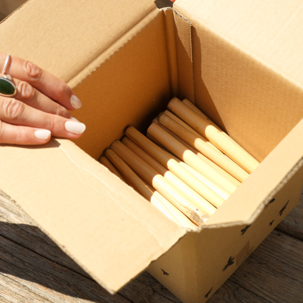 Ersatzröhrchen aus Riesenschilf