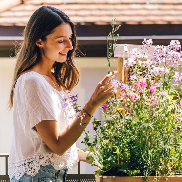 
                  
                    Digitaler Gutschein für ein BeeHome inkl. Mauerbienenkokons
                  
                