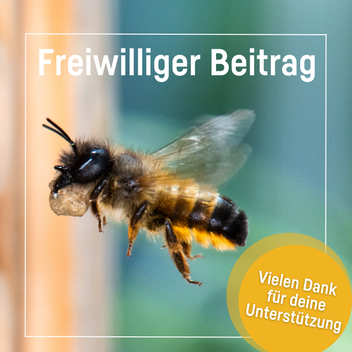 Freiwilliger Beitrag