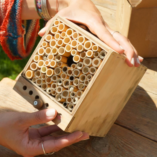 Ersatzröhrchen aus Riesenschilf