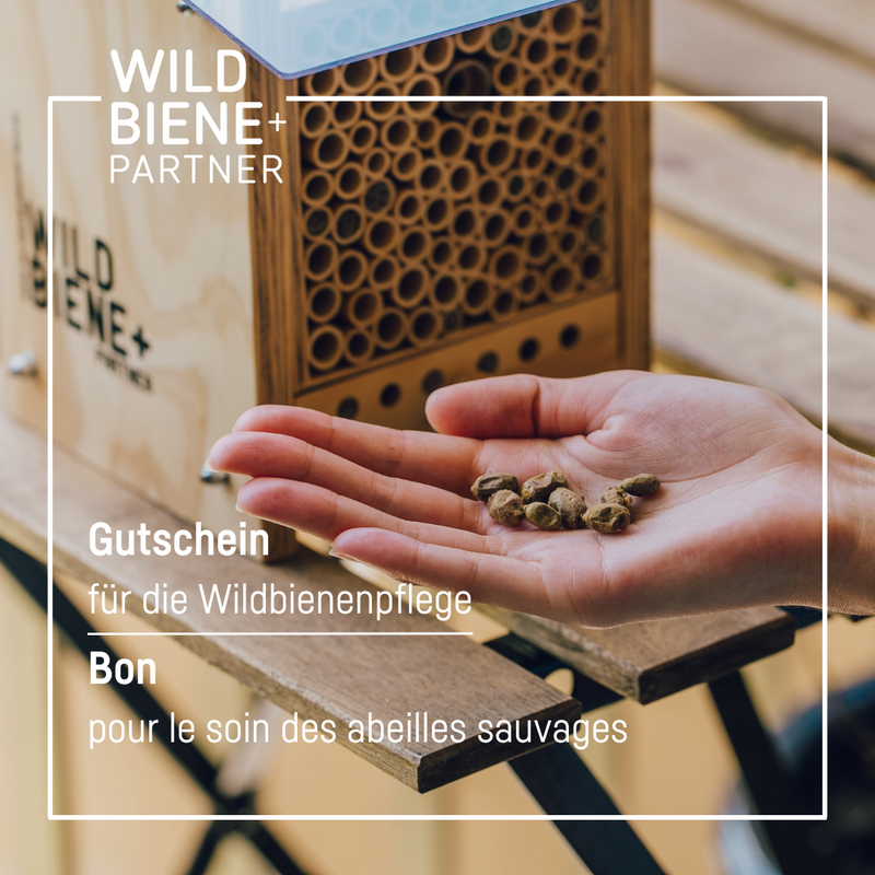 Gutschein für die Wildbienen-Pflege