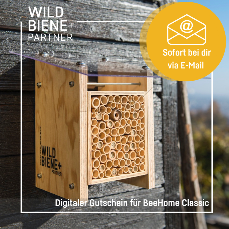 Digitaler Gutschein für ein BeeHome inkl. Mauerbienenkokons