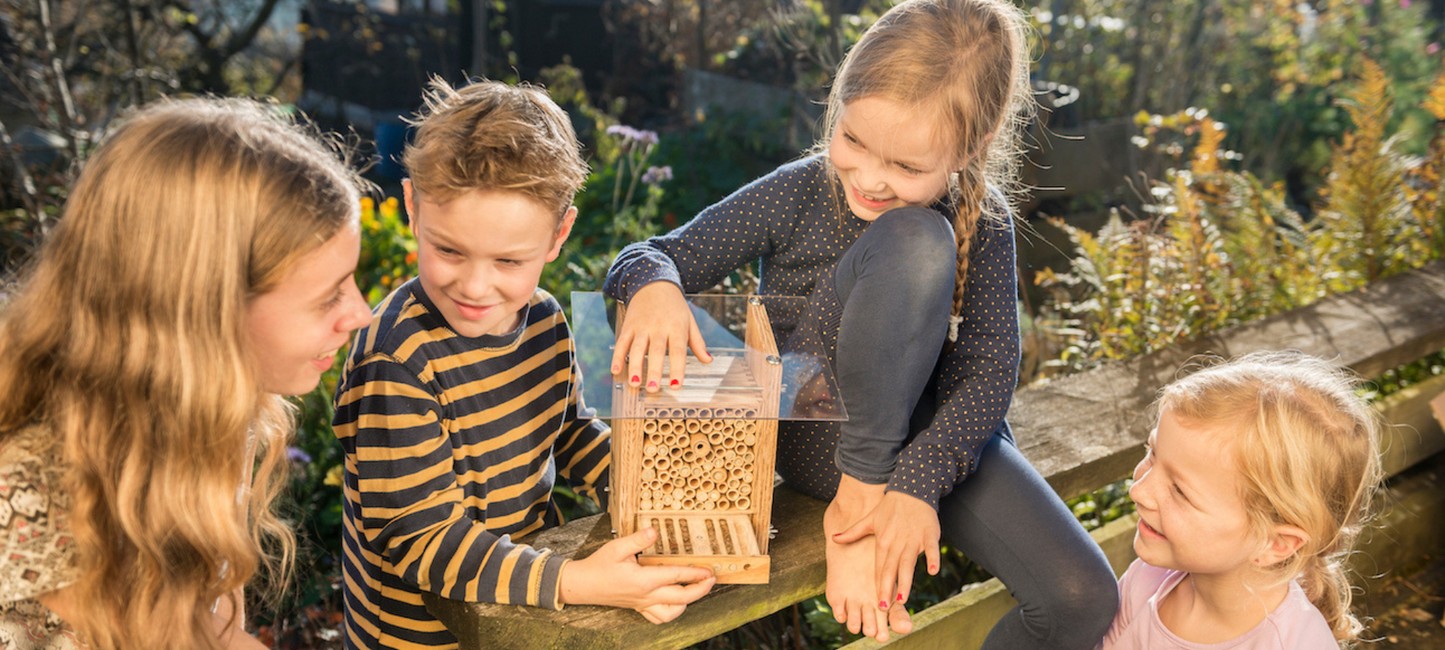 Enfants avec hôtel pour abeilles BeeHome de Wildbiene und Partner, introduction à la biodiversité,Critique Wildbiene und Partner de wildbee.ch