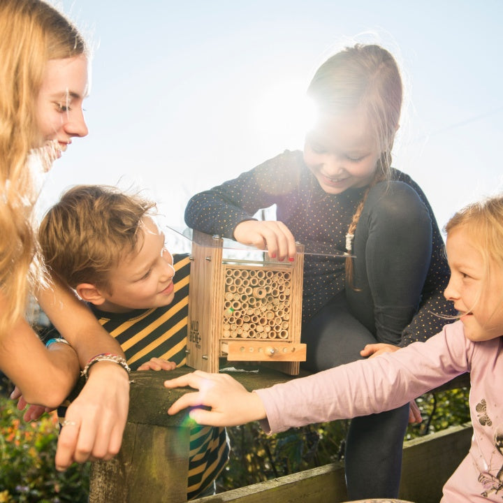 Digitaler Gutschein für ein BeeHome inkl. Mauerbienenkokons