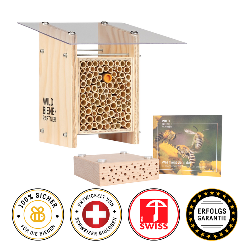 BeeSummer Set Classic