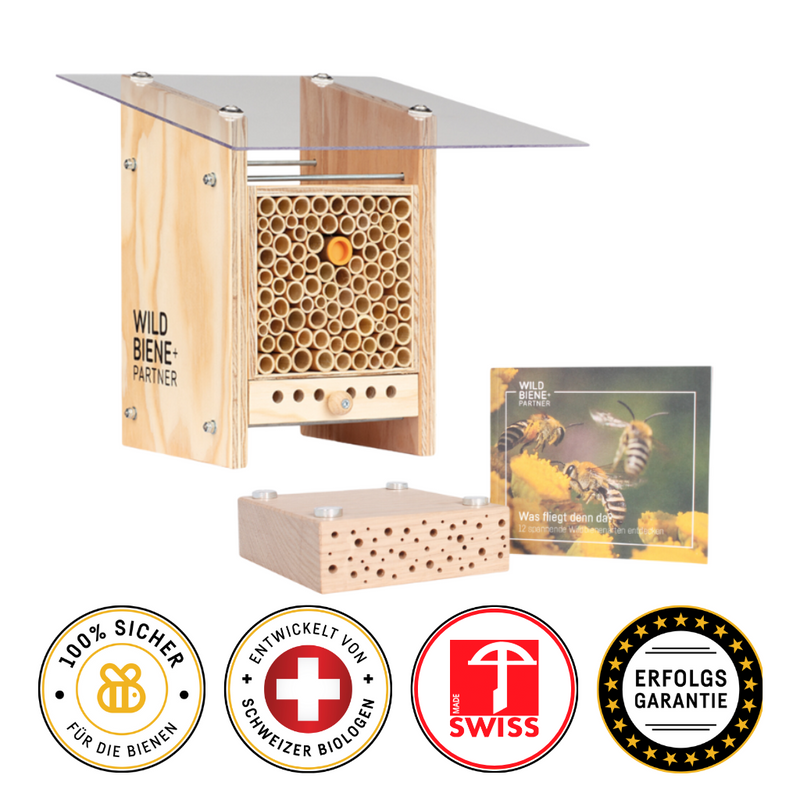 BeeSummer Set Observer