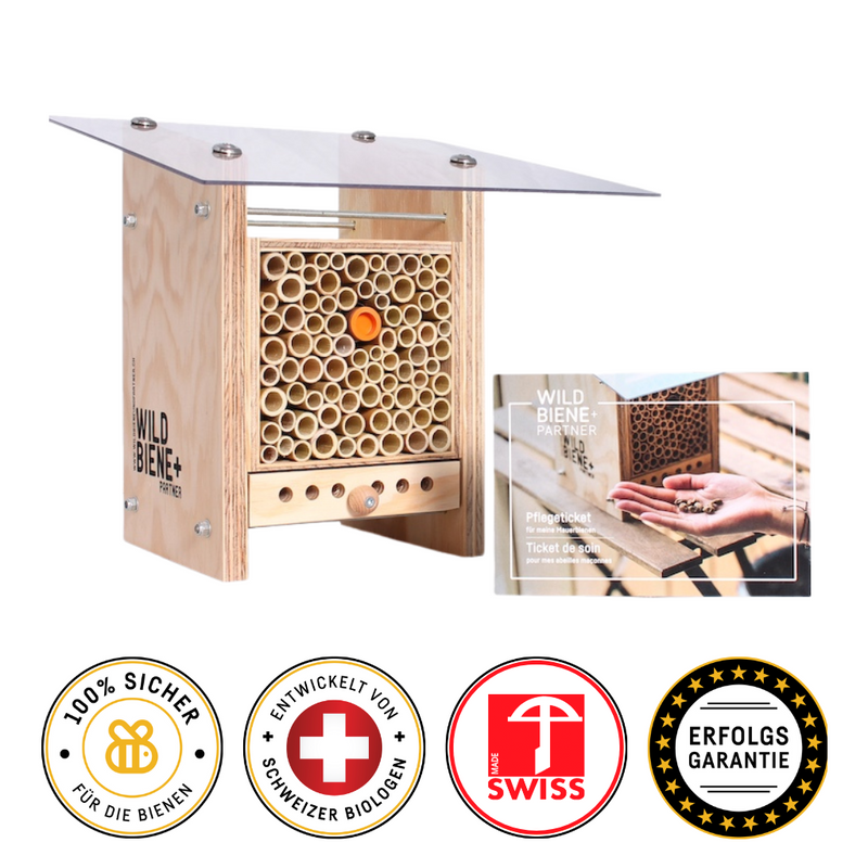 Starter-Set: BeeHome Observer mit Gutschein für die Wildbienen-Pflege