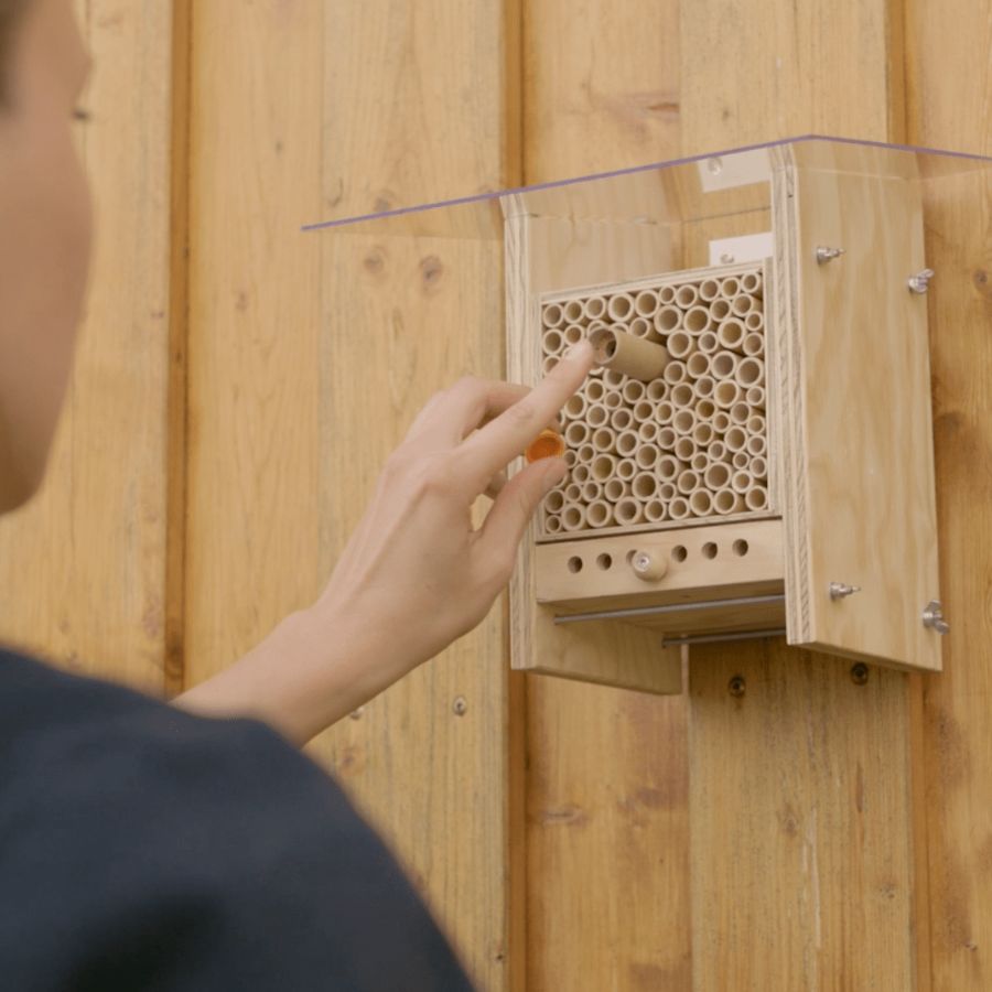 
                  
                    Voucher for Mason Bee Cocoons
                  
                