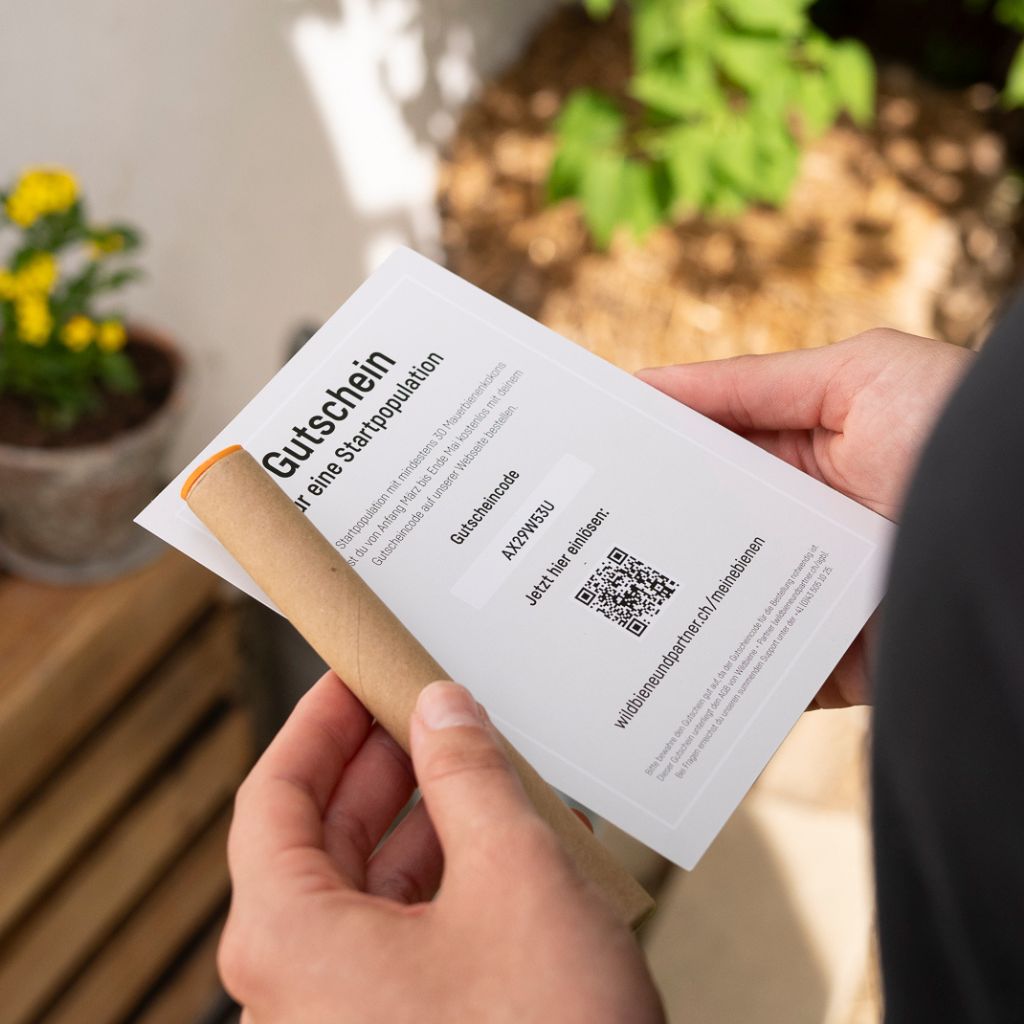 
                  
                    Voucher for Mason Bee Cocoons
                  
                