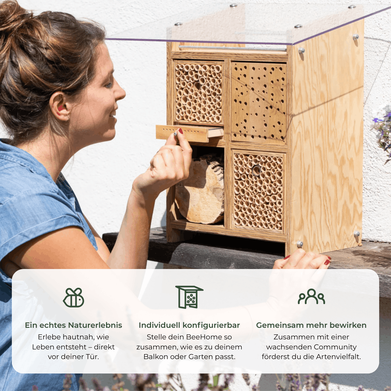 
                  
                    BeeSummer-Set: Bestseller für maximale Artenvielfalt
                  
                