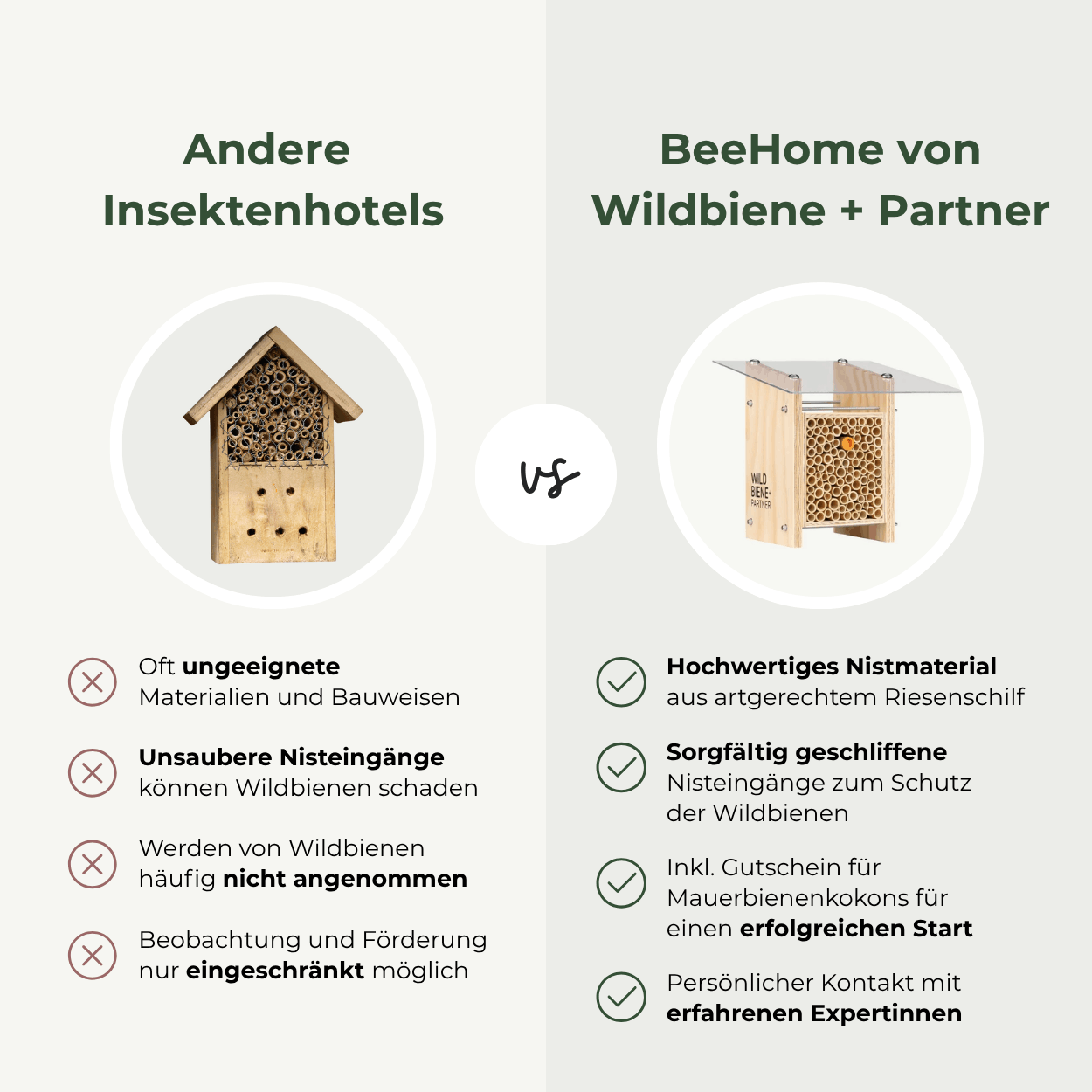 
                  
                    BeeSummer-Set: Bestseller für maximale Artenvielfalt
                  
                