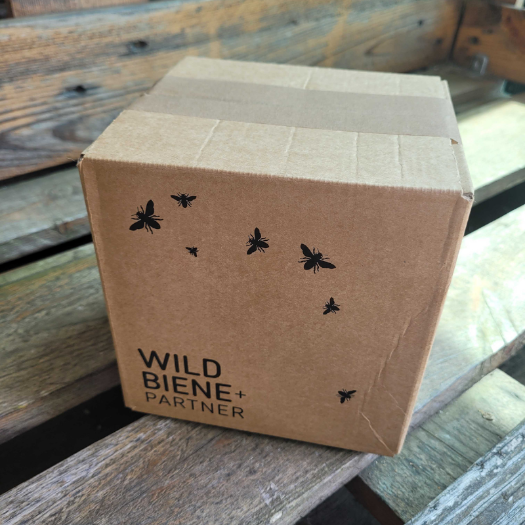 Wildbiene + Partner AG