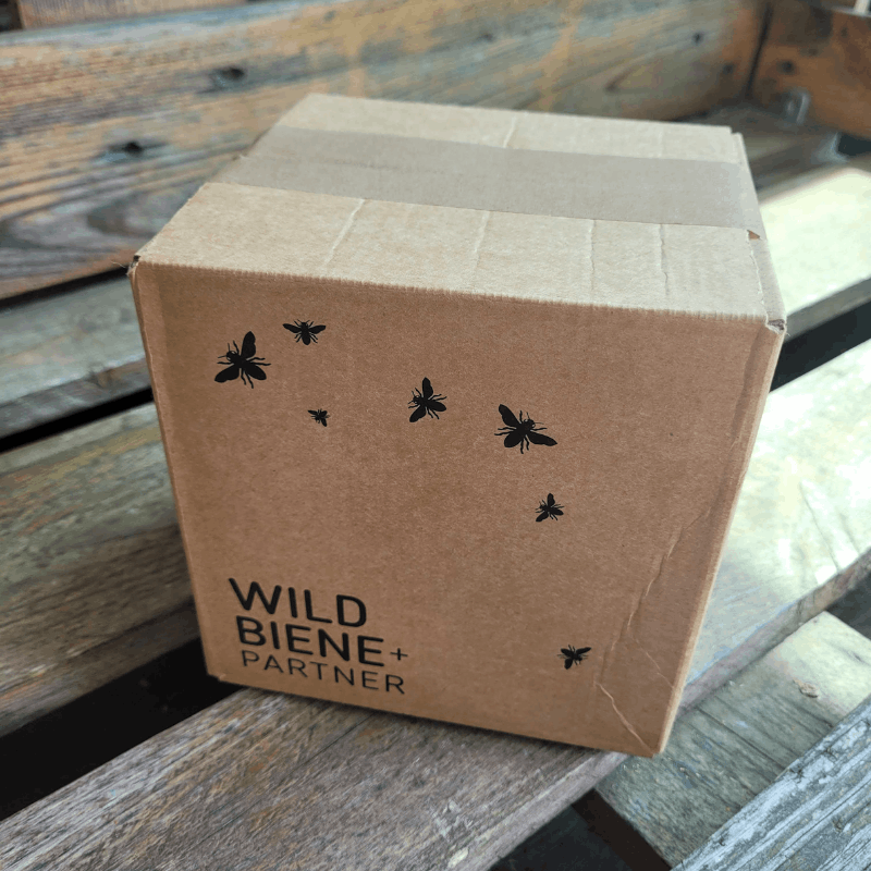 
                  
                    Versandkarton für die Wildbienen-Pflege
                  
                