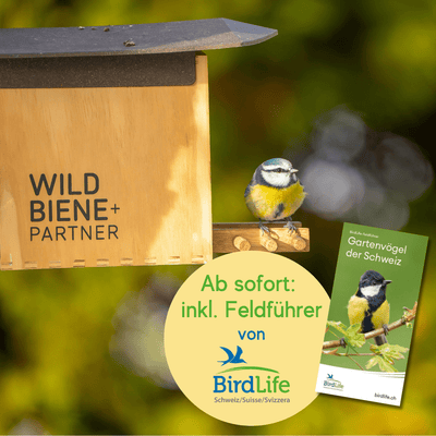 Mangeoire pour oiseaux BirdSnack