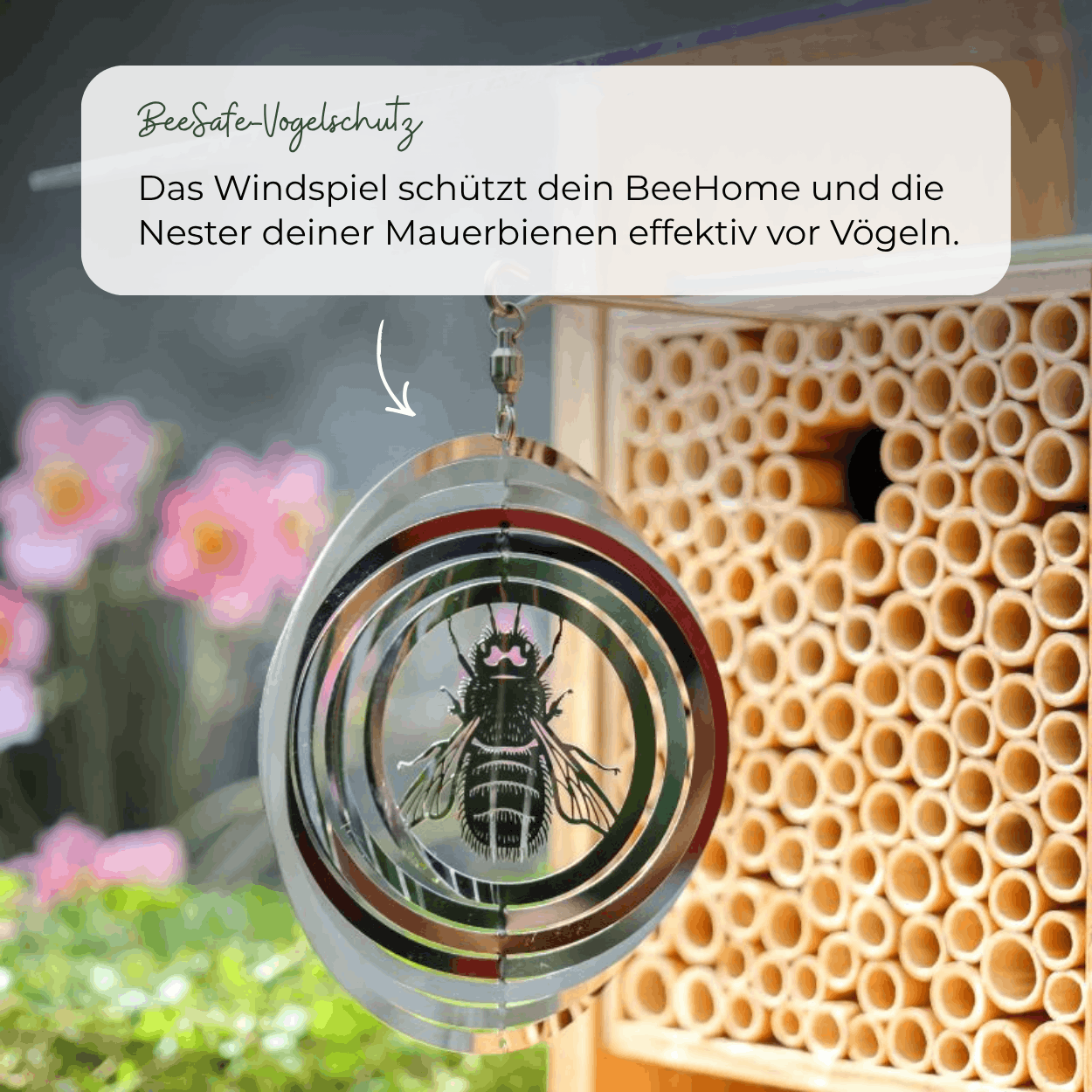 
                  
                    BeeHome Compact
                  
                