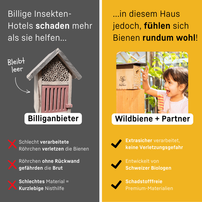 Wildbiene + Partner