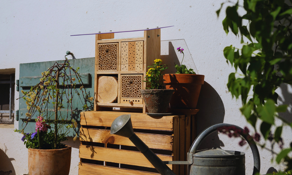 Wildbienen-Häuschen