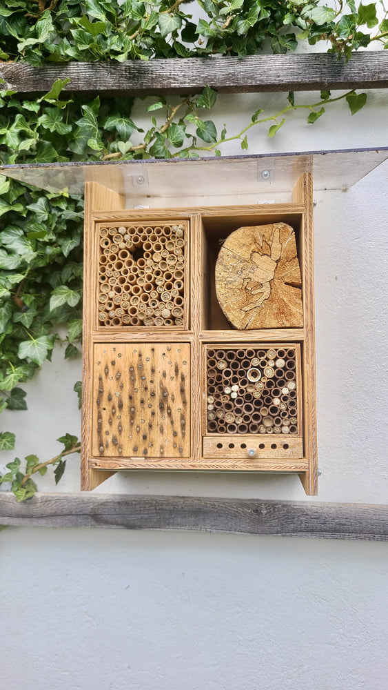 Bienenhotel für Wildbienen: seltene Sommerbienen und Holzbiene
