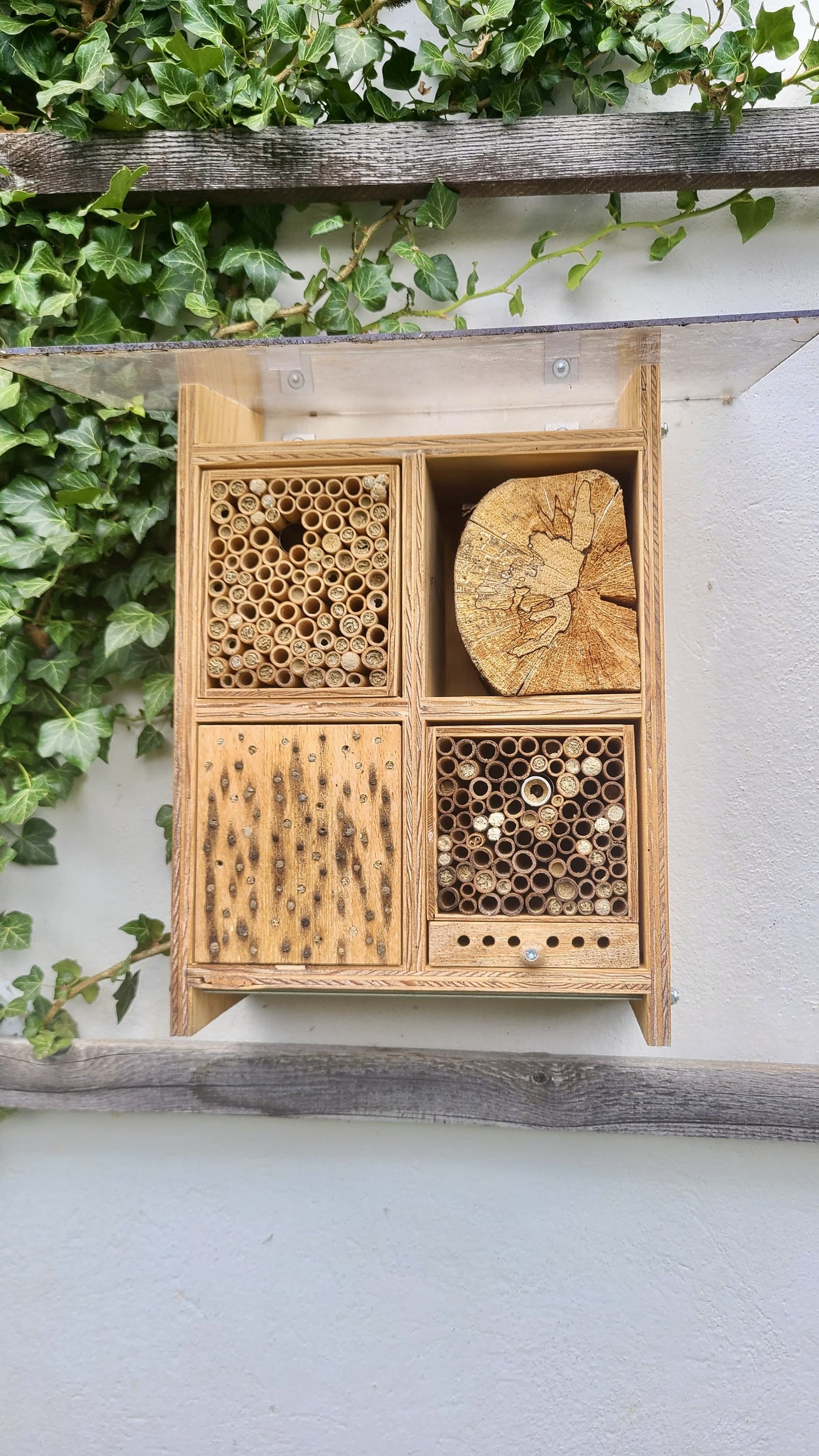 Bienenhotel für Wildbienen: seltene Sommerbienen und Holzbiene
