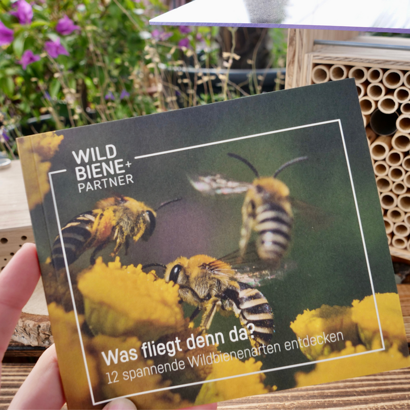 Wildbienen-Booklet