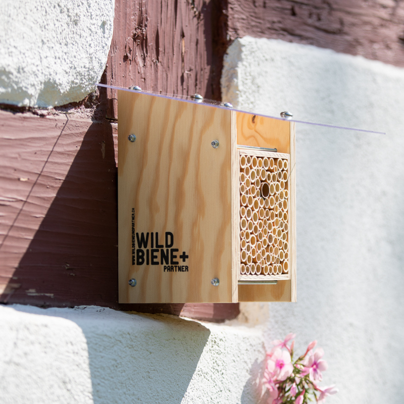 Starter-Set: BeeHome Classic mit Gutschein für die Wildbienen-Pflege