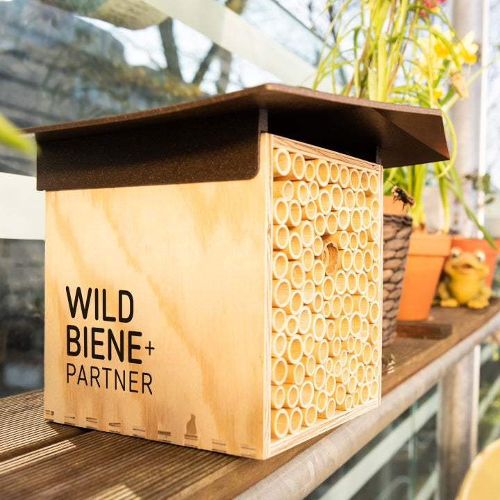 Wildbiene + Partner