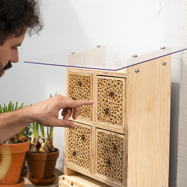 BeeHome Pro