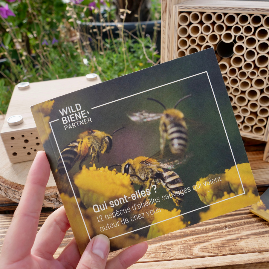 Wildbienen-Booklet