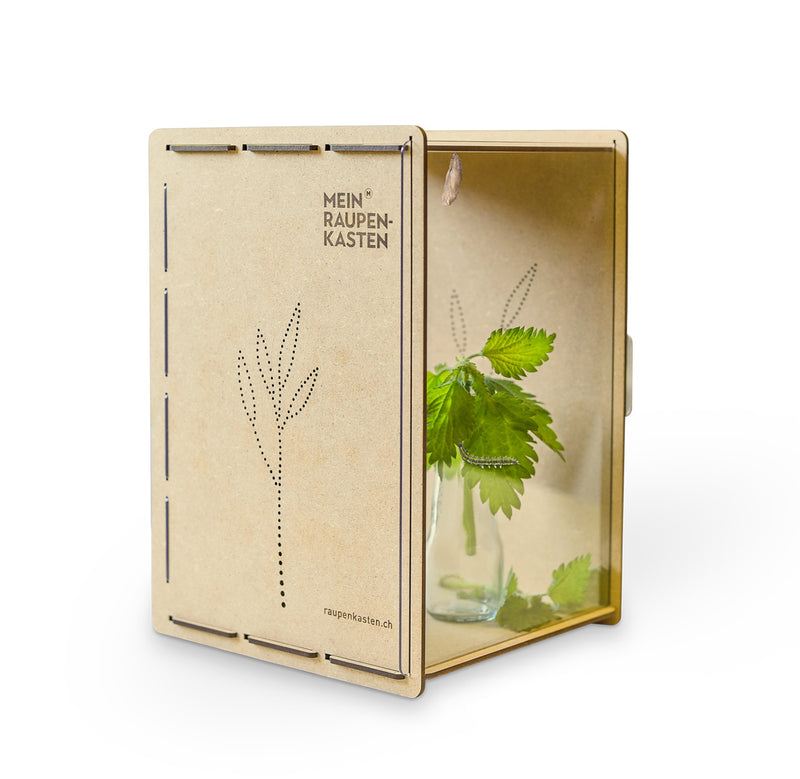 Raupenkasten für Schmetterlinge