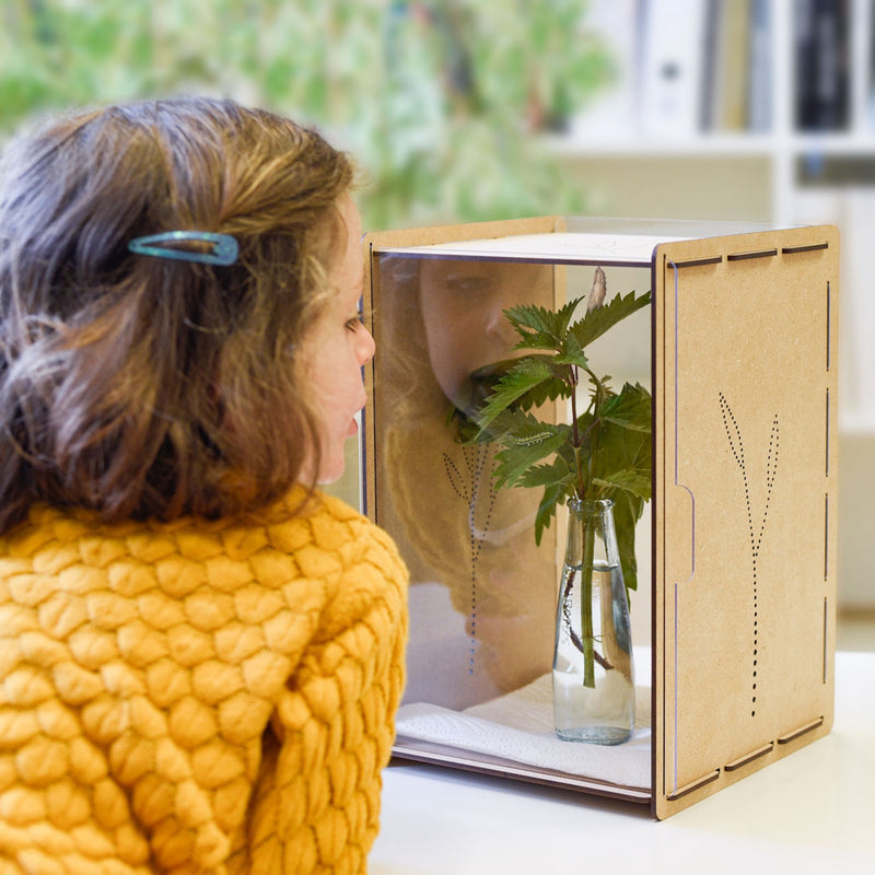 Raupenkasten für Schmetterlinge